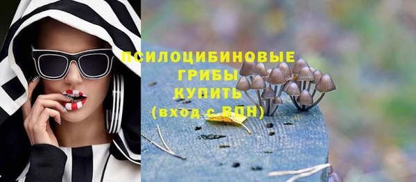 трава Богородицк