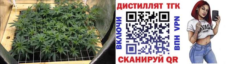 ТГК Wax  Волжский 