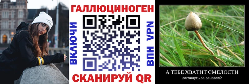 закладка  Волжский  Галлюциногенные грибы мухоморы 